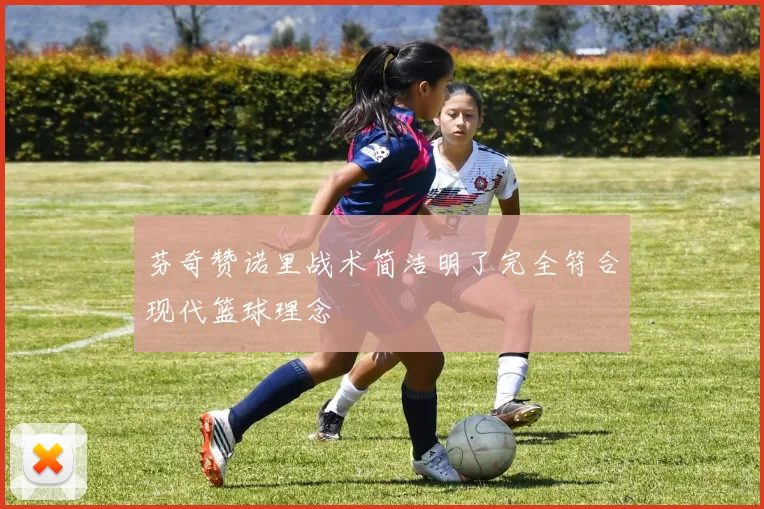 芬奇赞诺里战术简洁明了完全符合现代篮球理念